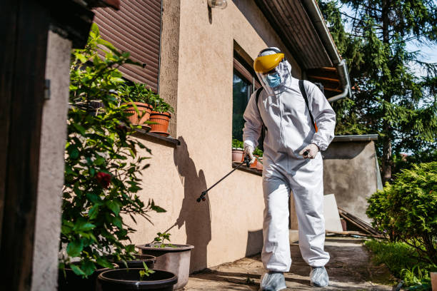 Trusted Rancho Cordova, CA Pest Control Experts