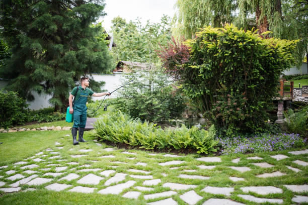 Best Pest Control Near Me  in Rancho Cordova, CA